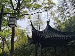 -东明山森林公园