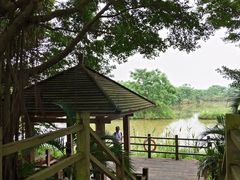 -大湾区中央湿地公园