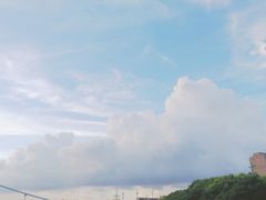 -陈家山荷花公园