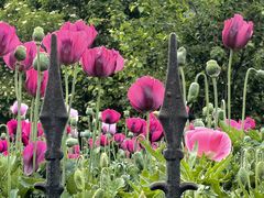 -国家植物园南园