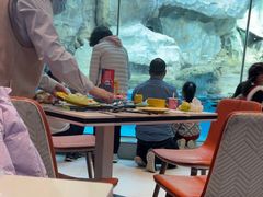 -帝企鹅自助餐厅•儿童岛•真企鹅(长隆企鹅酒店)
