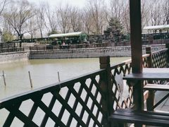 -尚庄度假村·庭台树下·户外烧烤·团建CS·轰趴营地(上庄水库店)