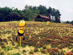 -保利石象湖景区