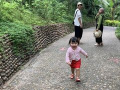 -西双版纳原始森林公园