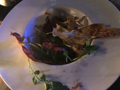 -Ocean's Table 欧舍