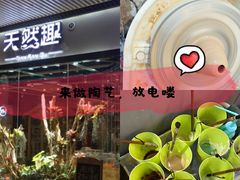 -趣陶陶艺手工坊(新世界百货重庆店)