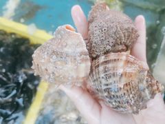 -阿弟特色海鲜餐厅·大排档(平潭店)