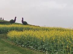 -光明小镇欢乐田园