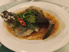 -万山楼海鲜酒家·二十三年老字号