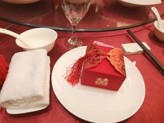 -常州环球恐龙城维景国际大酒店