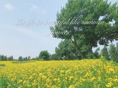 -长白岛森林公园