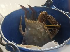 -澜悦港海鲜体验主题餐厅