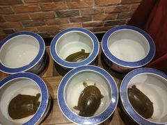 -毛家饭店·融合新湘菜·主题宴(齐鲁软件园店)