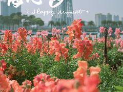 -海心沙亚运公园