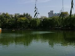 -莲湖公园
