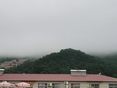 -大鹿岛