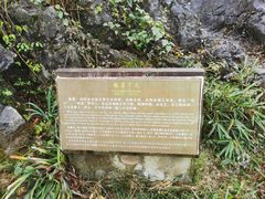 -千岛湖石林