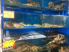 阿拉斯加蟹皇-蚝专家(北滘店)