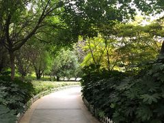 -云龙湖旅游景区