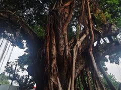 -三溪村