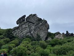 -神农架景区