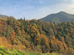 -石潭村
