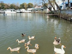 -J Create城市露营咖啡·简餐·宠物(上海动物园店)