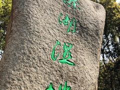 -溱湖国家湿地公园