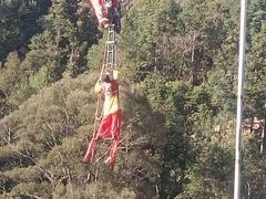 -九龙江国家森林公园