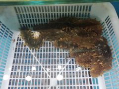 -港畔赶海蒸汽海鲜烧烤自助(仙螺岛店)
