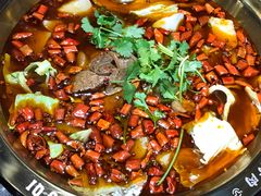 受气牛肉微辣锅小锅-受气牛肉·耙牛肉火锅(水晶郦城店)