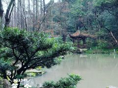 景点-虎跑公园