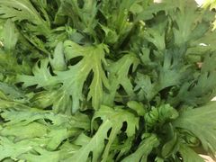 -千牛将·鲜牛肉火锅(开元路店)