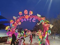 -沈阳奥体冰雪嘉年华