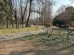 -洛阳市隋唐城遗址植物园