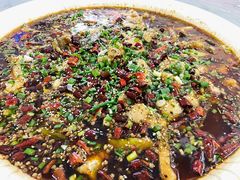 来凤鱼-瓦房兔(璧山店)