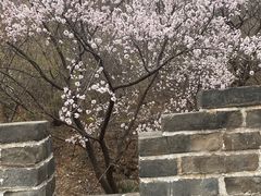 -慕田峪长城
