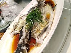 -渔意楼·驰名沙田乳鸽(五羊店)