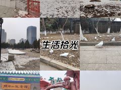 -沈阳中山公园
