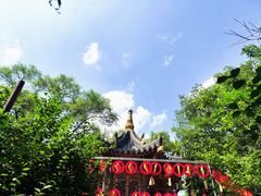 -高尔山公园