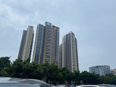 -坂田天虹