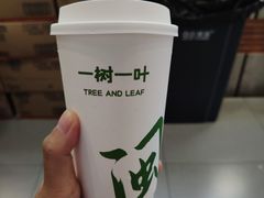 -一树一叶·福建茶档(石鼓路店)