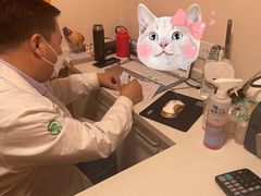 -瑞派·关忠动物医院·异宠专科·犬猫肿瘤·皮肤专科(望京店)