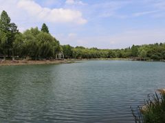 -苏州金鸡湖大酒店