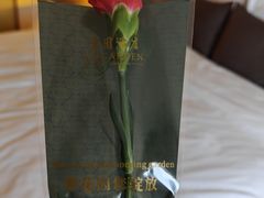 -广州花园酒店