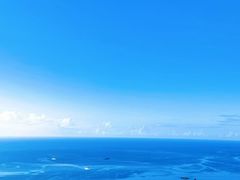-三亚亚龙湾人间天堂鸟巢度假村