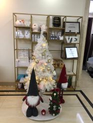 -VE专注问题肌·赛诺龙&科学美肤中心