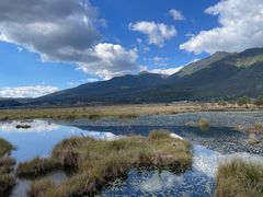 -腾冲北海湿地