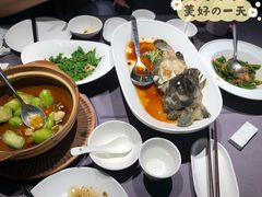 清蒸老虎斑-徐记海鲜(曲江南湖店)