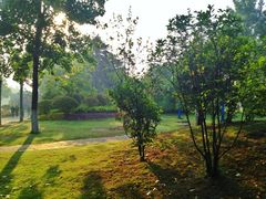 iphone_upload_pic-楚秀园